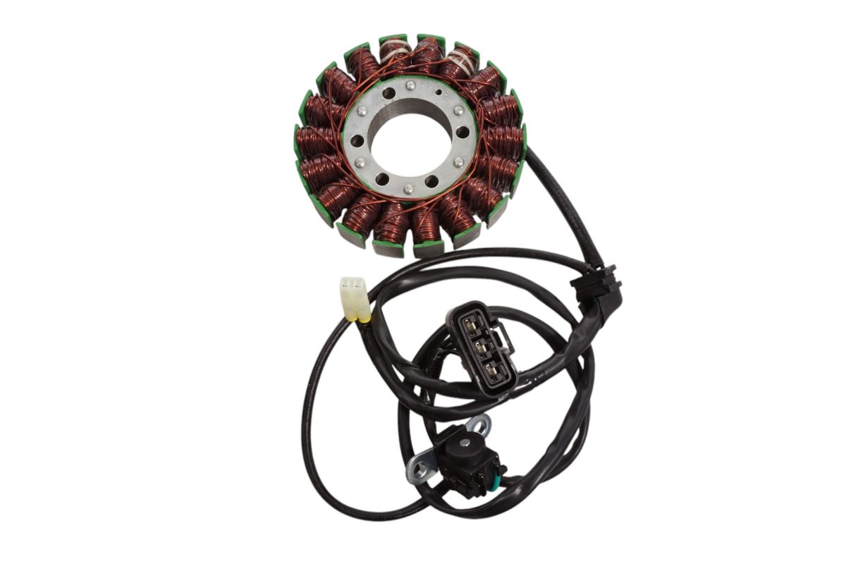 STATOR WINDING TRIUMPH TIGER800