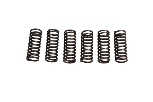 CLUTCH SPRINGS HONDA CRF 450R 06-08, CRF 450R 02-03 (6PCS)