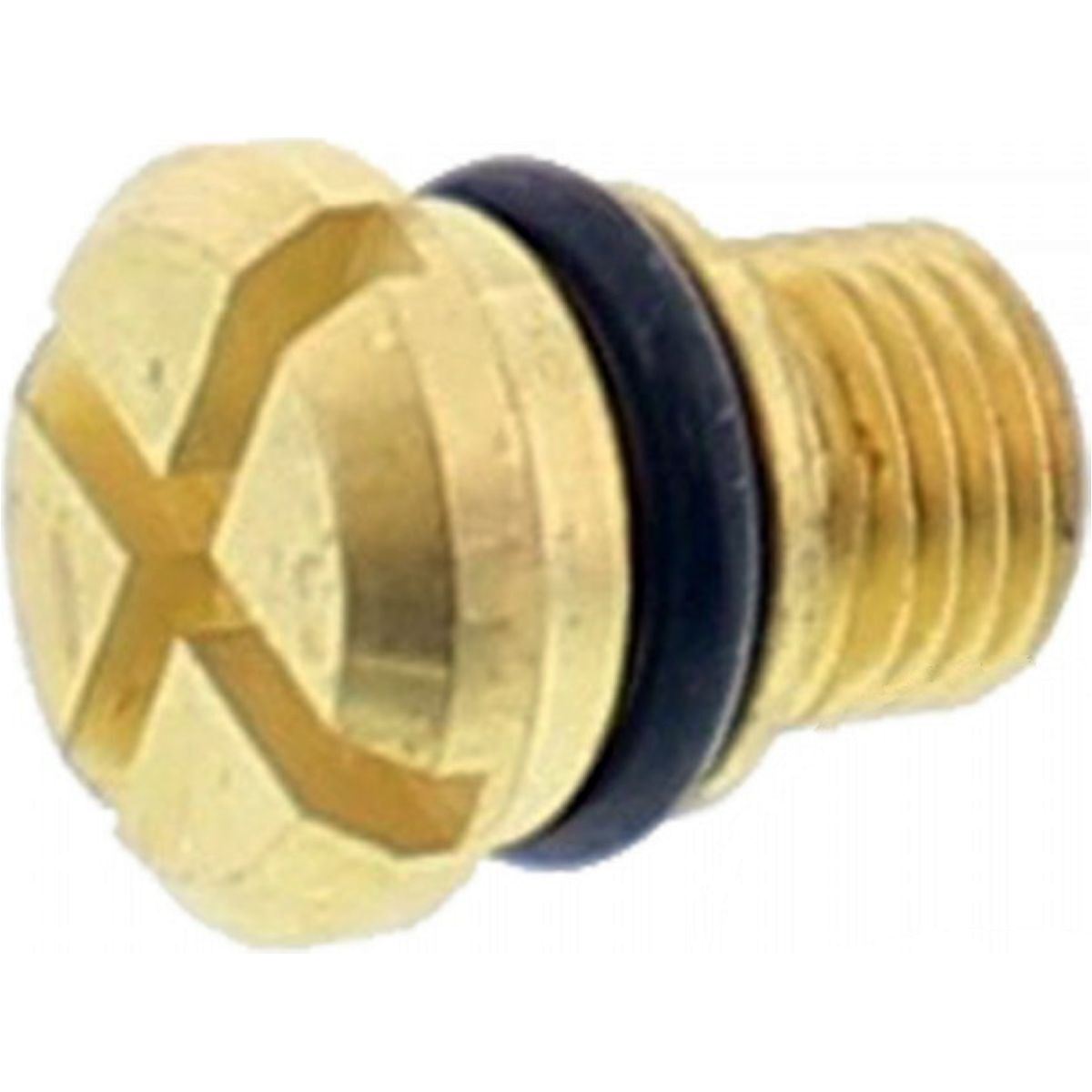 FRONT FORK BLEEDER SCREW (PSF1)