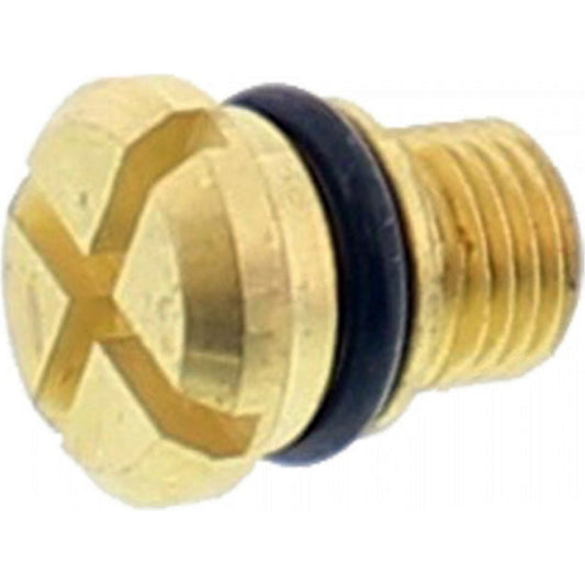 FRONT FORK BLEEDER SCREW (PSF1)