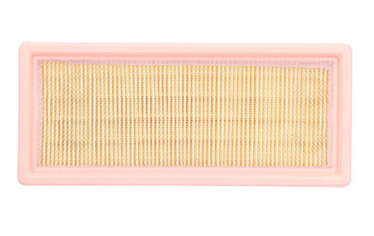 AIR FILTER TRIUMPH DAYTONA955 96-98, SPRINT955 91-01, TIGER900/955 93-06, SPEED TRIPLE955 99-01, SPEED TRIPLE900 94-99 (OEM:T2201246)