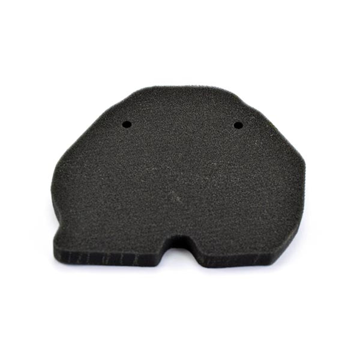 AIR FILTER BENELLI BN302/S/R 15-20