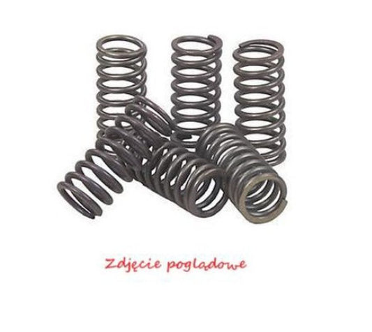 Clutch Springs Kawasaki KLX450R 08-12, KX450F 06-11