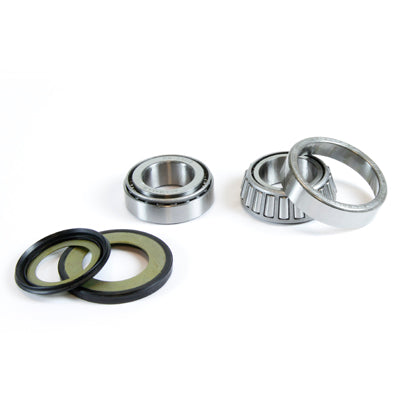 FRAME HEADSTOCK BEARINGS WITH SEALS HONDA CB 600F '04-'06 (22-1020)
