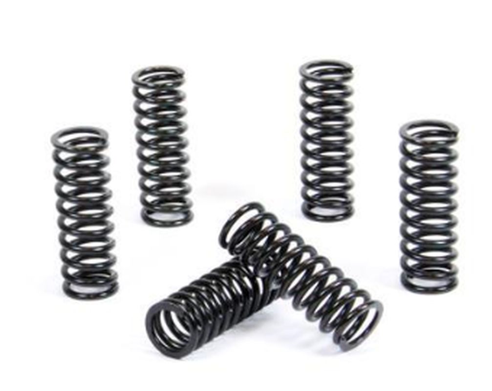 CLUTCH SPRINGS BETA RR350/400/450/498 '13-'17 4T, RR250/300 2T '13-'17 (5 PCS)