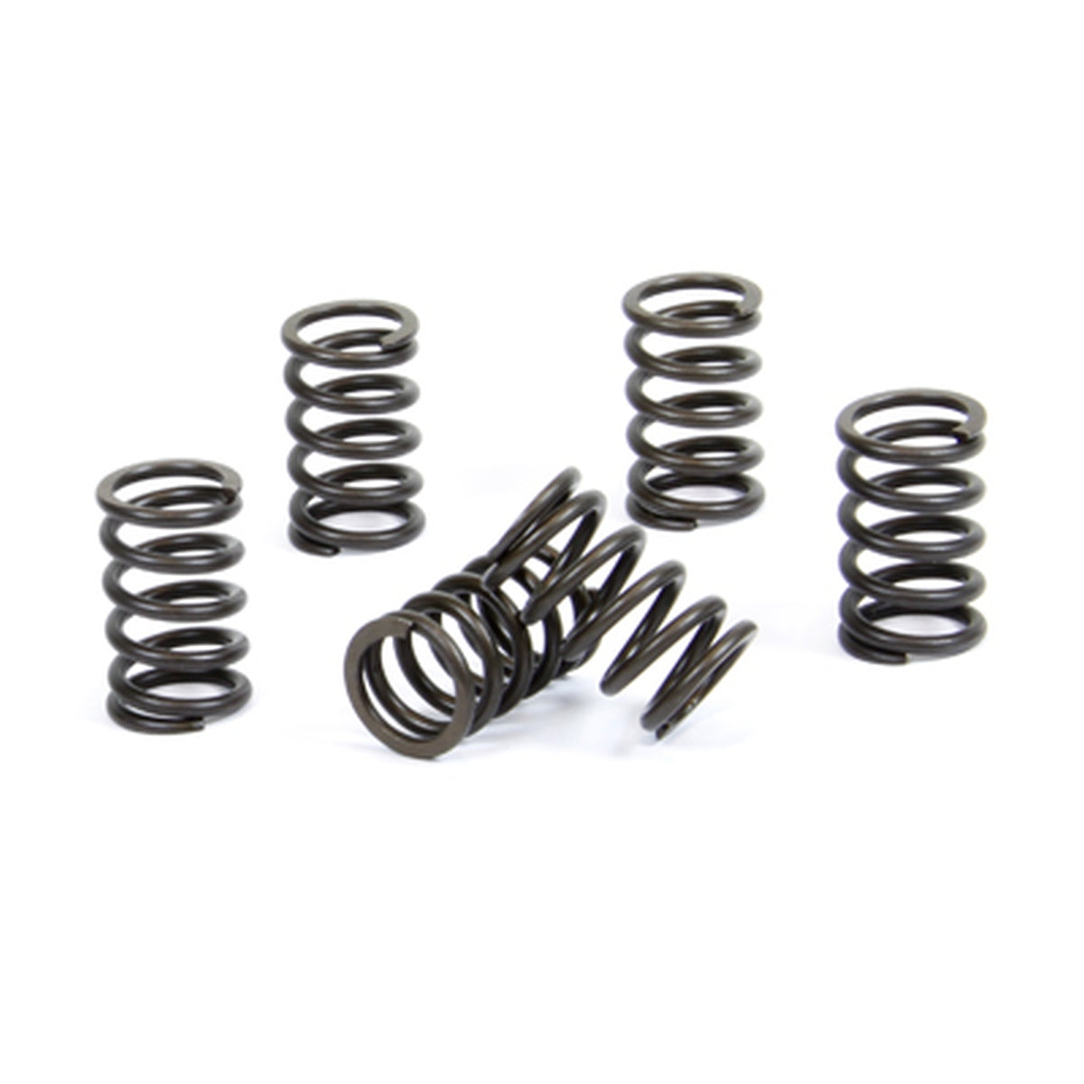 CLUTCH SPRINGS KTM SX 65 '00-'08