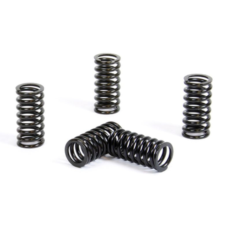 CLUTCH SPRINGS SUZUKI RM 125 '01-11 (EBS091)