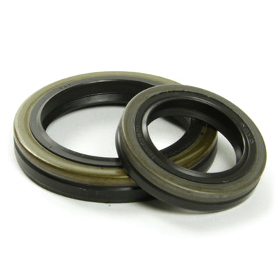 CRANKSHAFT SEALS RM 250 00-02