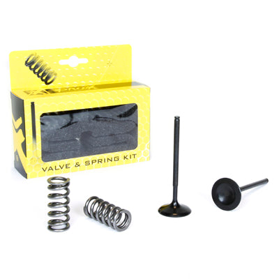 STEEL INTAKE VALVES / SET WITH SPRINGS / STEEL / HONDA CRF 250R (10-17)