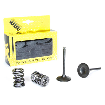 INTAKE VALVES /SET WITH SPRINGS/ KAWASAKI KXF 450 (09-18)