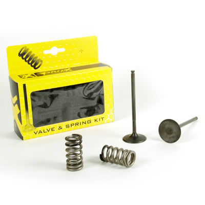 INTAKE VALVES /SET WITH SPRINGS/ KTM 250 EXCF (14-16)