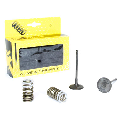 INTAKE VALVES /SET WITH SPRINGS/ SUZUKI RMZ 250 (07-20)