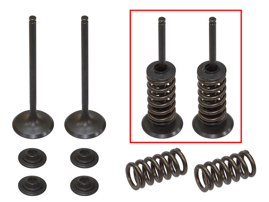 Intake Valves (Set of 2 with springs & retainers) Husaberg FE250 13, KTM EXCF250 08-14 (MX-09551I)
