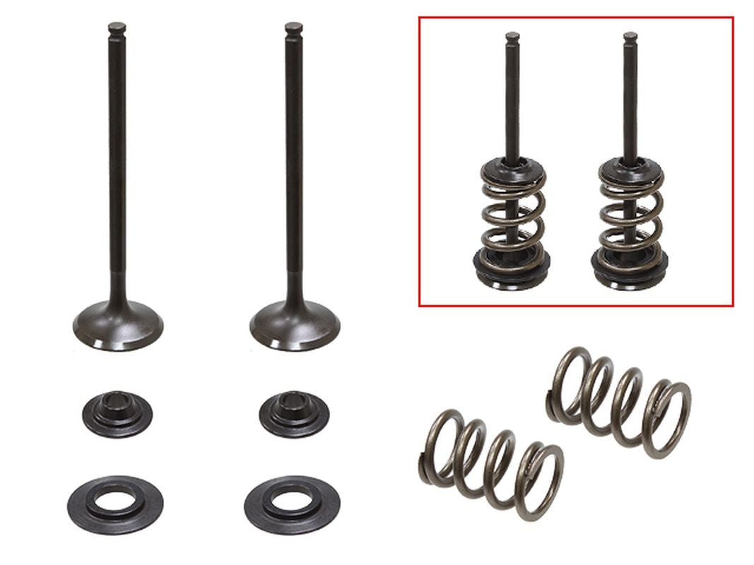 Exhaust Valves (Set of 2 with springs & retainers) Husaberg FE250 13, KTM EXCF250 08-14 (MX-09551E)