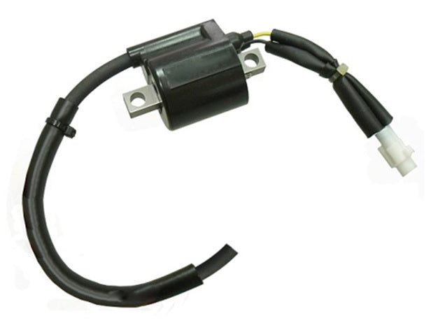 Ignition Coil Yamaha YZ125 05-18 (OEM:1C3-82320-00)