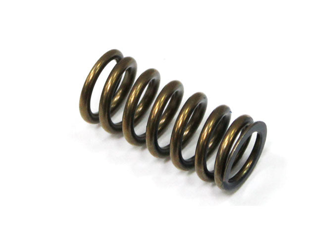 Intake Valve Spring Honda CRF450R 09-16 (MX-09533IS)