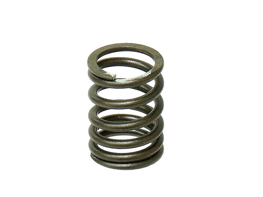 Intake Valve Spring Honda CRF110/125F 13-18