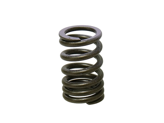 Intake Valve Spring Kawasaki KXF250 07-08 (MX-09552IS) Superseded by XU-09540IS