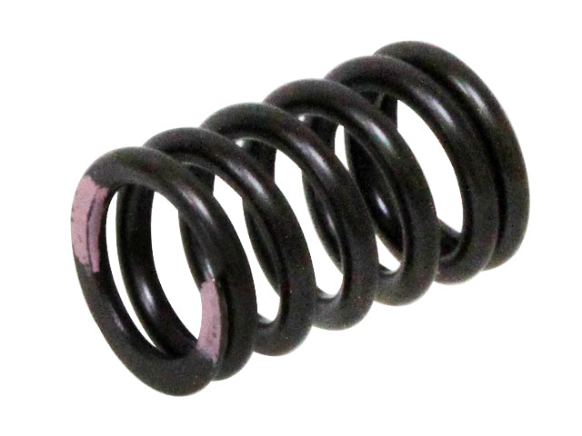 Intake Valve Spring Kawasaki KXF250 11-16 (MX-09539IS)