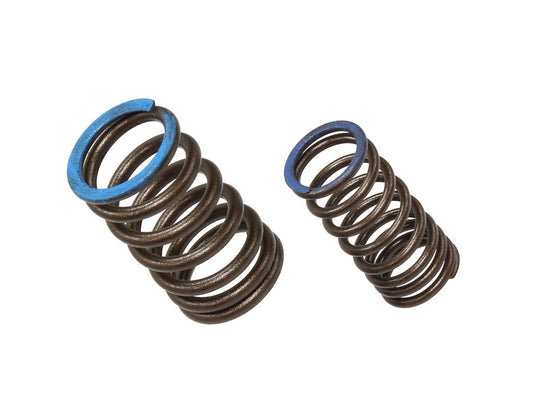 Intake Valve Spring Kawasaki KXF450 19-20