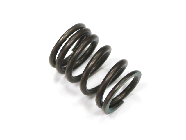 Intake Valve Spring Suzuki RMZ450 05-07 (MX-09536IS)
