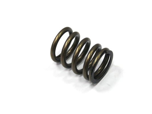 Intake Valve Spring Suzuki RMZ450 08-15, RMX450 10-14 (MX-09527IS)