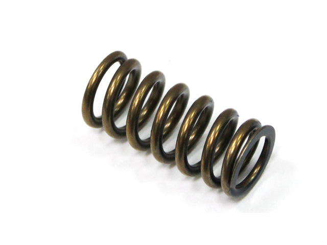 Intake Valve Spring Yamaha YZF250 01-13, WRF250 01-13, GasGas EC250F 10-15, 300F 13-15 (MX-09519IS)
