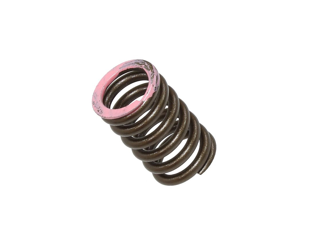 Intake Valve Spring Yamaha YZF250 19-20, WRF250 20