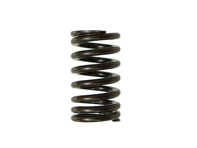 Intake Valve Spring Yamaha YZF450 10-16 (MX-09541IS)