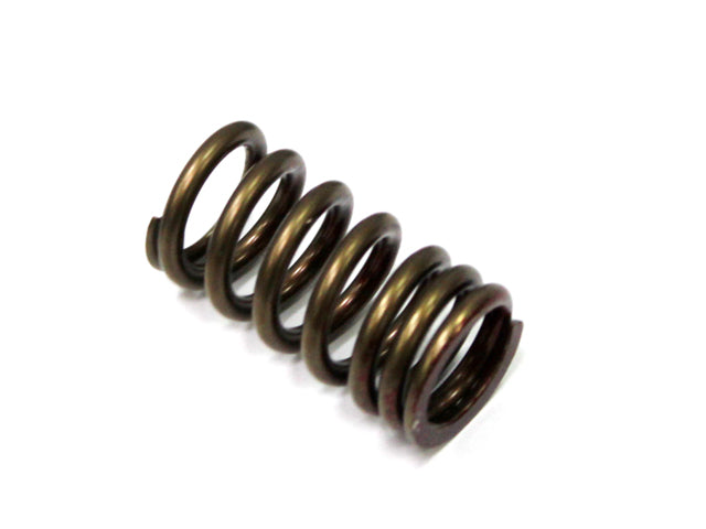 Exhaust Valve Spring Kawasaki KXF250 04-18, Suzuki RMZ250 04-17, GSX-R750 06-17, GSX-R1000 05-06 (MX-09509ES) Replaces XU-09529IS, XU-09505ES