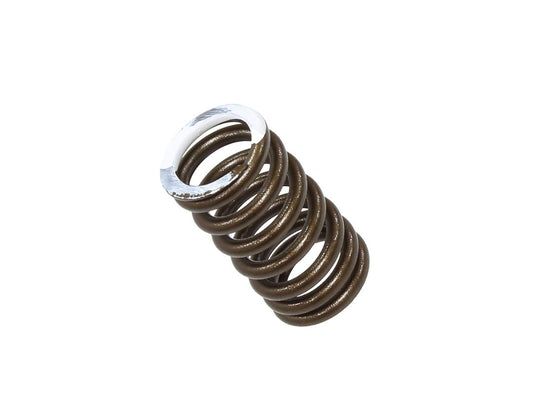 Exhaust Valve Spring Kawasaki KXF250 17-19 (KX250F)