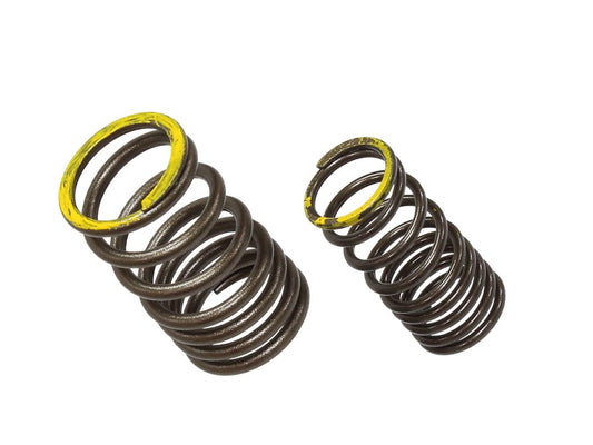 Exhaust Valve Spring Kawasaki KXF450 19-20 (KX450F)