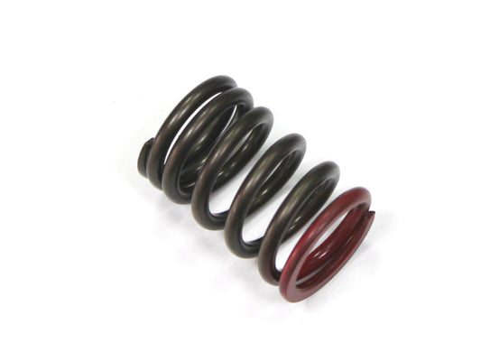 Exhaust Valve Spring Suzuki RMZ450 05-07 (MX-09536ES)
