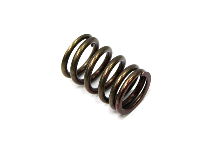 Exhaust Valve Spring Suzuki RMZ450 08-15, RMX450 10-14 (MX-09527ES)
