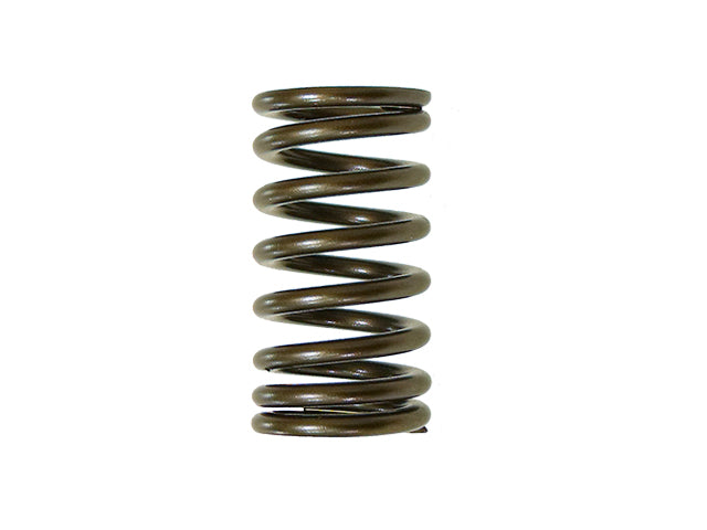Exhaust Valve Spring Yamaha YZF450 10-16 (MX-09541ES)