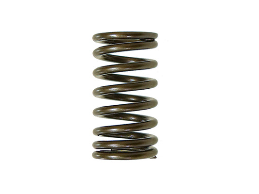 Exhaust Valve Spring Yamaha YZF450 10-16 (MX-09541ES)