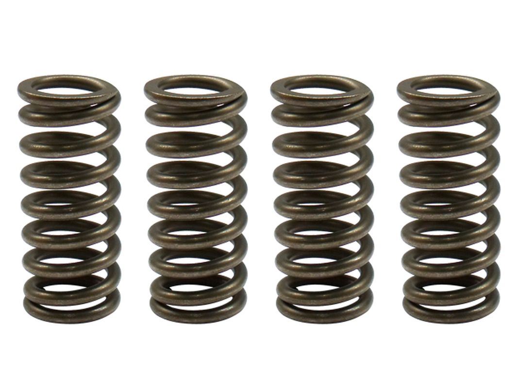 Clutch Springs Honda CRF450F 11-12 (EBS174)