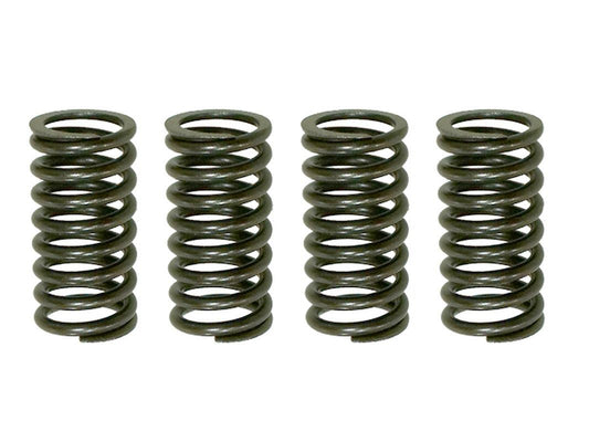 Clutch Springs Kawasaki KDX200 05-06, Honda NX250R 88-90 (EBS030)