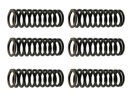 Clutch Springs Suzuki RMZ250 07-09 (EBS125)