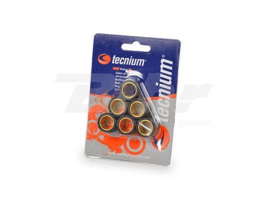 Variator rollers 16×13 5.5 g 6‑pcs (3919)