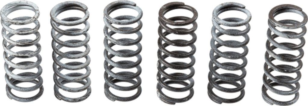 Clutch springs Suzuki DL 650 04-16, Gladius 650 09-16, SV 650 03-10, 16- (EBS133)