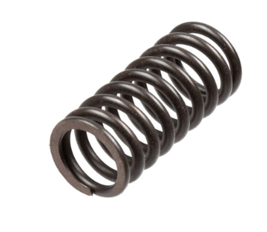 Clutch springs Honda VT 1100 C2, C3 Shadow 95-02