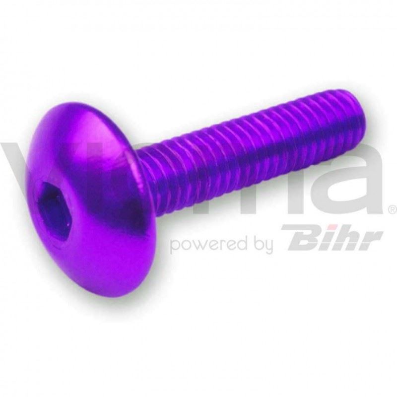 Fairing screw set M6×20 (6 pcs) purple (flat Allen) (TA620LI)
