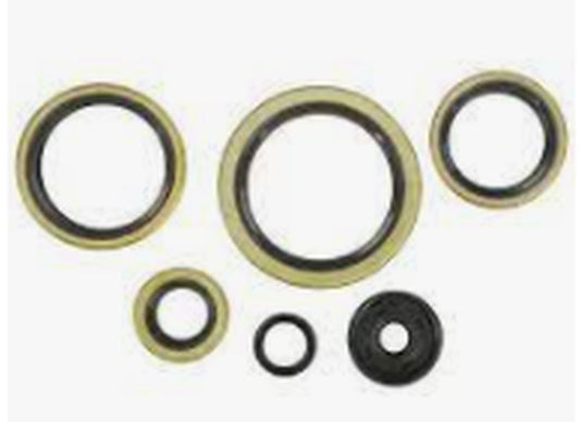 Engine oil seal set KTM MXC 300 1994–2003, MXC 360 1996–1997, MXC 380 1998–2001, SX 300 1994, SX 360 1996–1997, SX 380 1998–2002, EXC 380 1998–2002, EXC 360 1996–1997, EXC 300 1994–2003